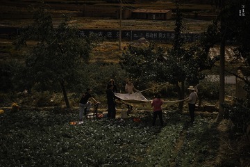 丰收的样子