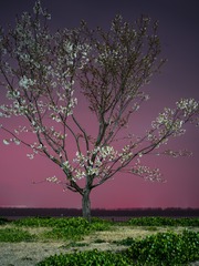 CC22F379-E63E-452B-82C9-15C8A21B93FD/L0/001