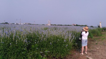 IMG_20160610_160845