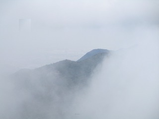 1902164