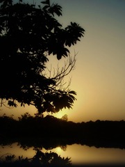 F8702F2B-4478-4D7D-B09A-0E61885E4F4A/L0/001
