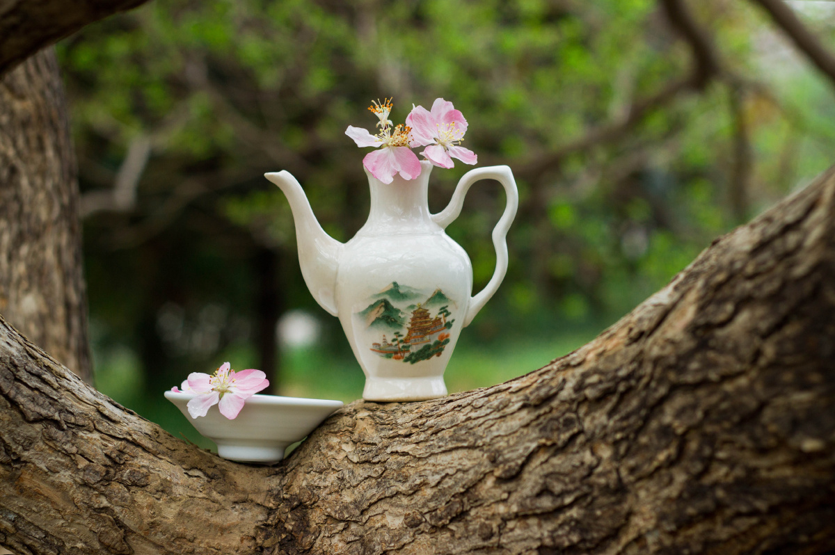 【诗酒花茶】