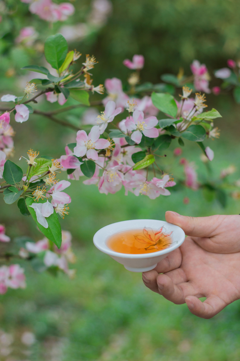 【诗酒花茶】