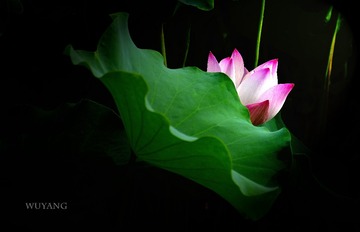 _DSC0198