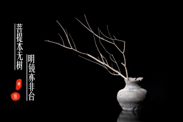 L_X76156