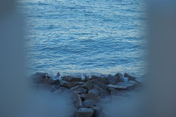 74250500-7F73-41E3-8D3F-2010936D8557/L0/001