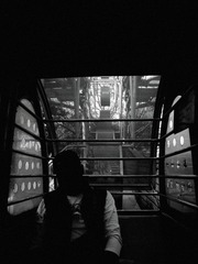 _1016110__