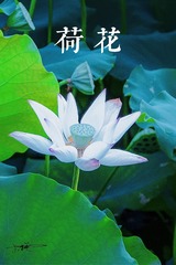 8FFB7CB6-D55A-4A29-B822-EFEF83363E62/L0/001