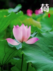 5F89FB5F-D724-442F-916D-503B433051D5/L0/001