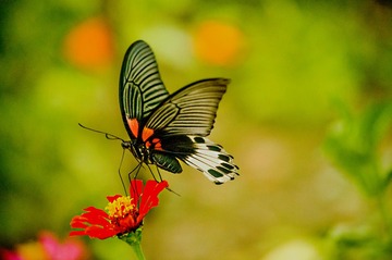 _DSC0131--