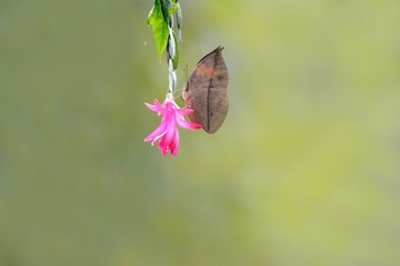 DSC--5587