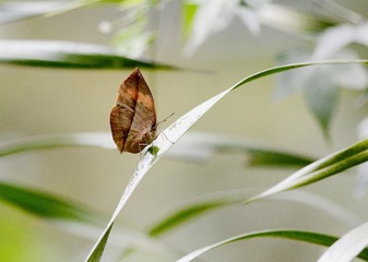 DSC_5555-
