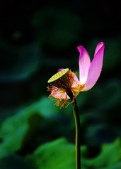 DSC07486_