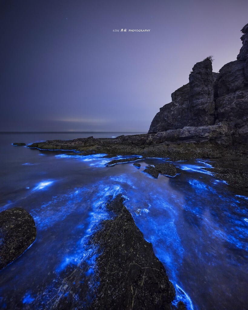 摄于旅顺小黑石，虽然天气很差，但是在云水姐和郭大哥的帮助下 还是找到了当天唯一有荧光海的小海湾。真是美极了，明年再见。
