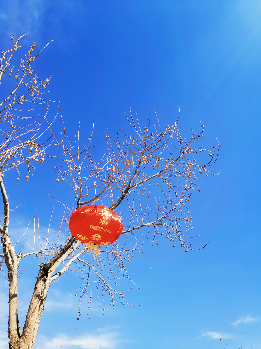 乍暖还寒初春景象