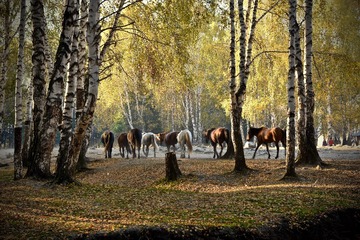 ADS_7935(1)