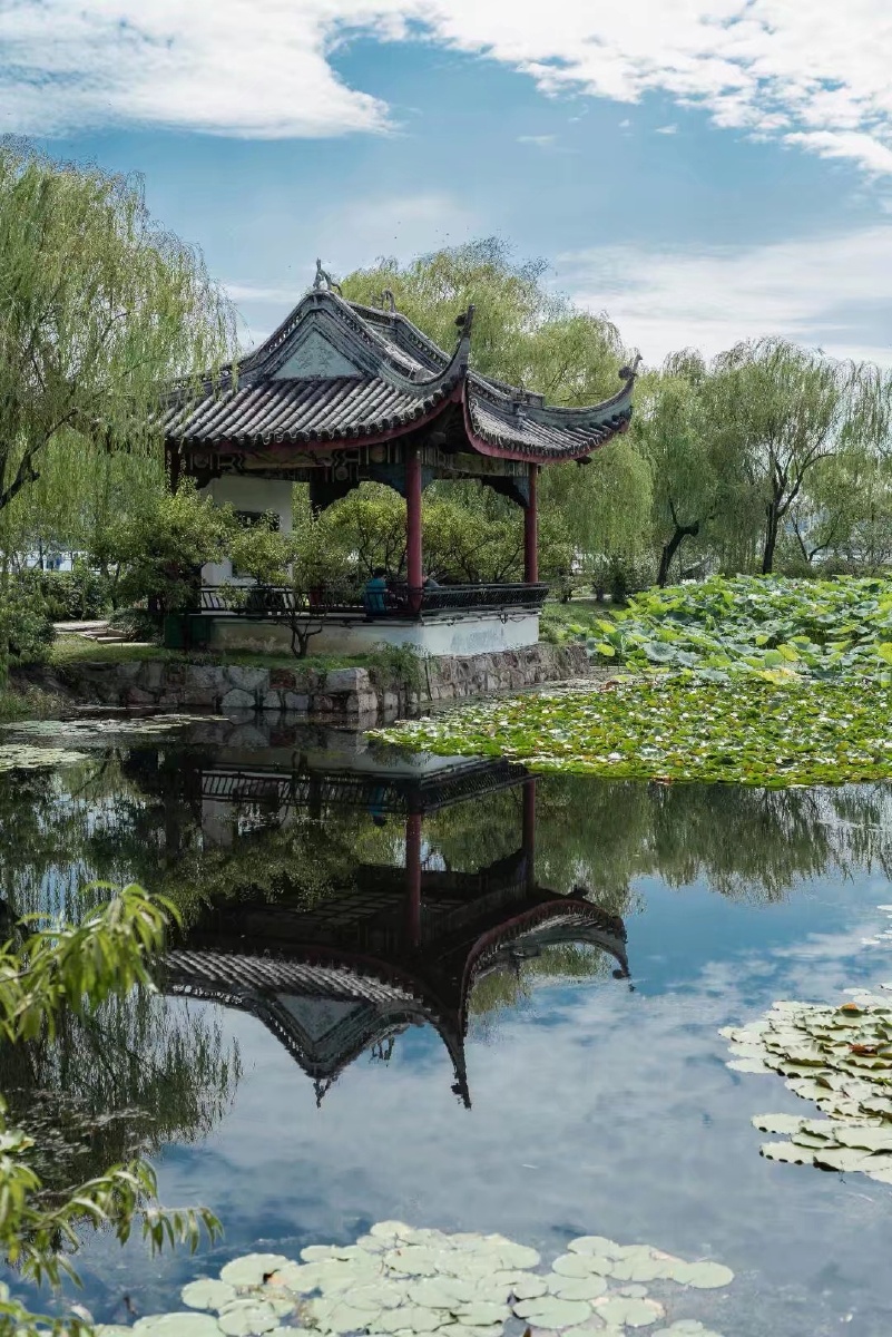 夏末无锡蠡园好景色