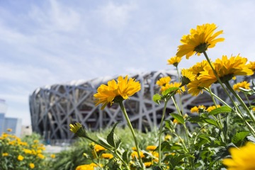 _DSC2723_1