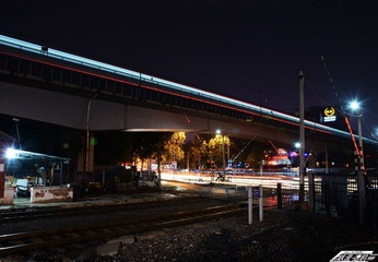 DSC_5360g