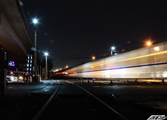 DSC_5365g