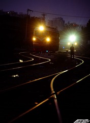 DSC_5766g