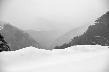 _XUE4332