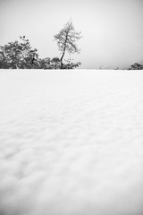 _XUE4307