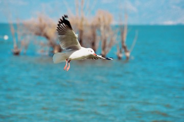 _DSC8861