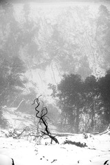 _XUE4414