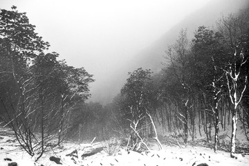 _XUE4400