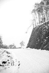 _XUE4294