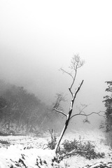 _XUE4378