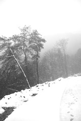 _XUE4262
