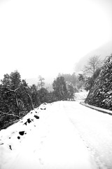 _XUE4272