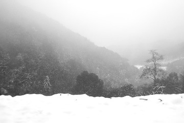 _XUE4281