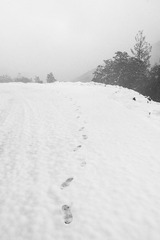 _XUE4327