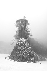 _XUE4321
