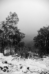 _XUE4361