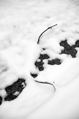 _XUE4253