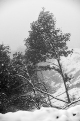 _XUE4364