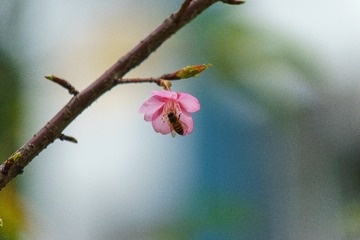 dsc03358_16384109406_o