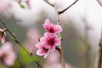 dsc03383_16224171937_o