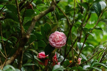 dsc03405_16222669060_o