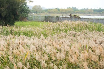 dsc02470_15918142917_o