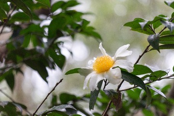 dsc02488_16101975311_o