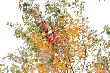 dsc02495_16101974521_o