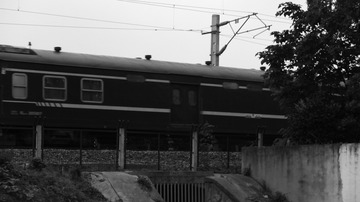 1531028