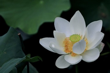 1590840