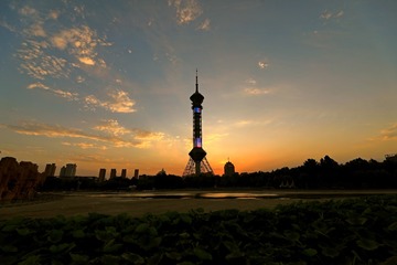 1332602