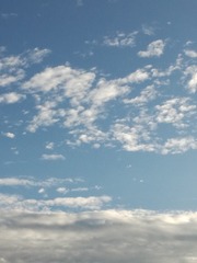 IMG_20160706_180523